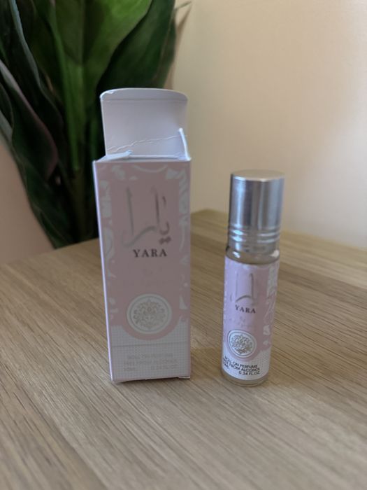 Lattafa Nebras, Yara, Coral …