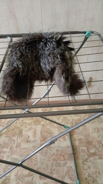 Продам 2 шапки б/у