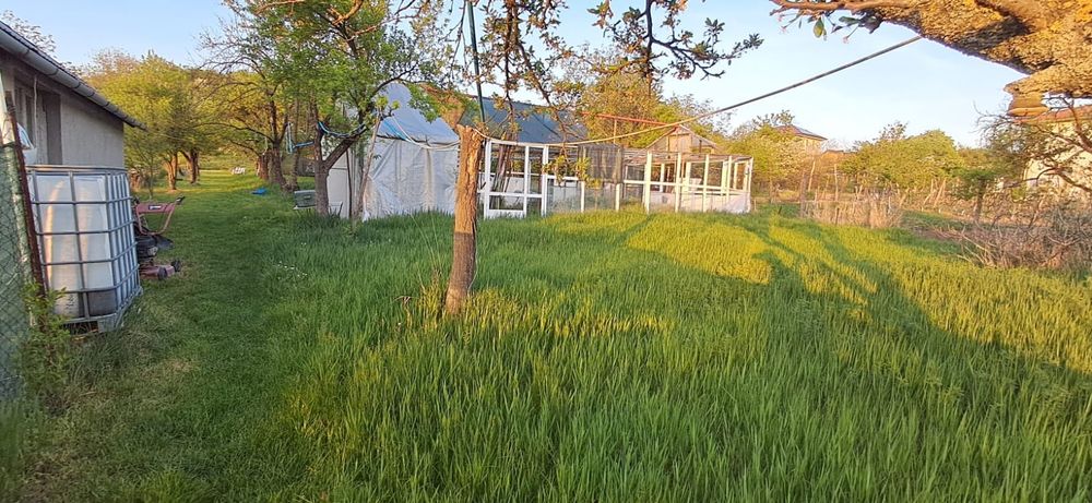 Teren 1.606 mp cu casă și utilități – Oradea, zona Dealuri | 168.000 € negociabil