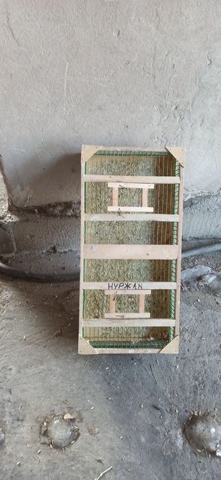 Переноски для цепля