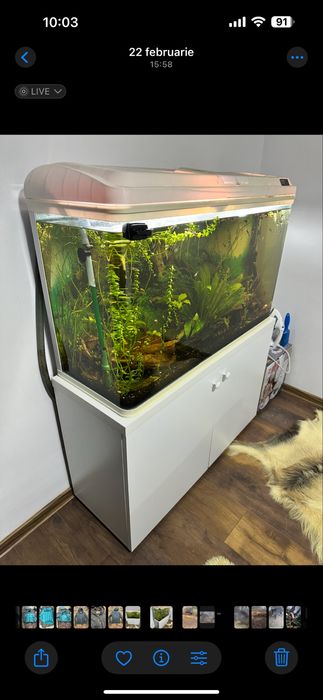 Acvariu 200 litri curbat