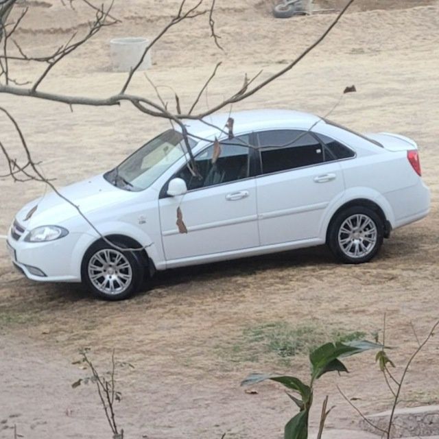 Saka deska 205×55×16 barter 15 deska balonga