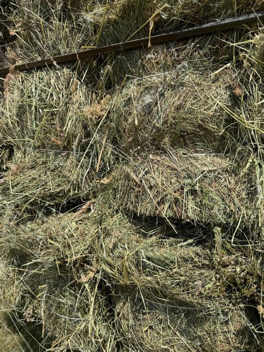 Продам сено тюкованное