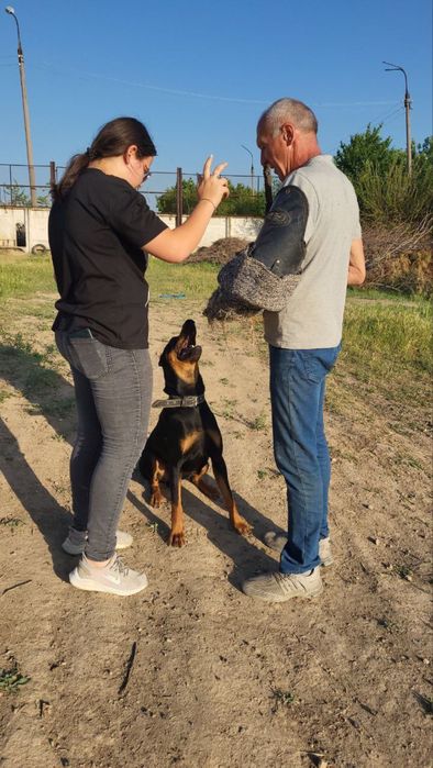 Инструктор дрессировщик