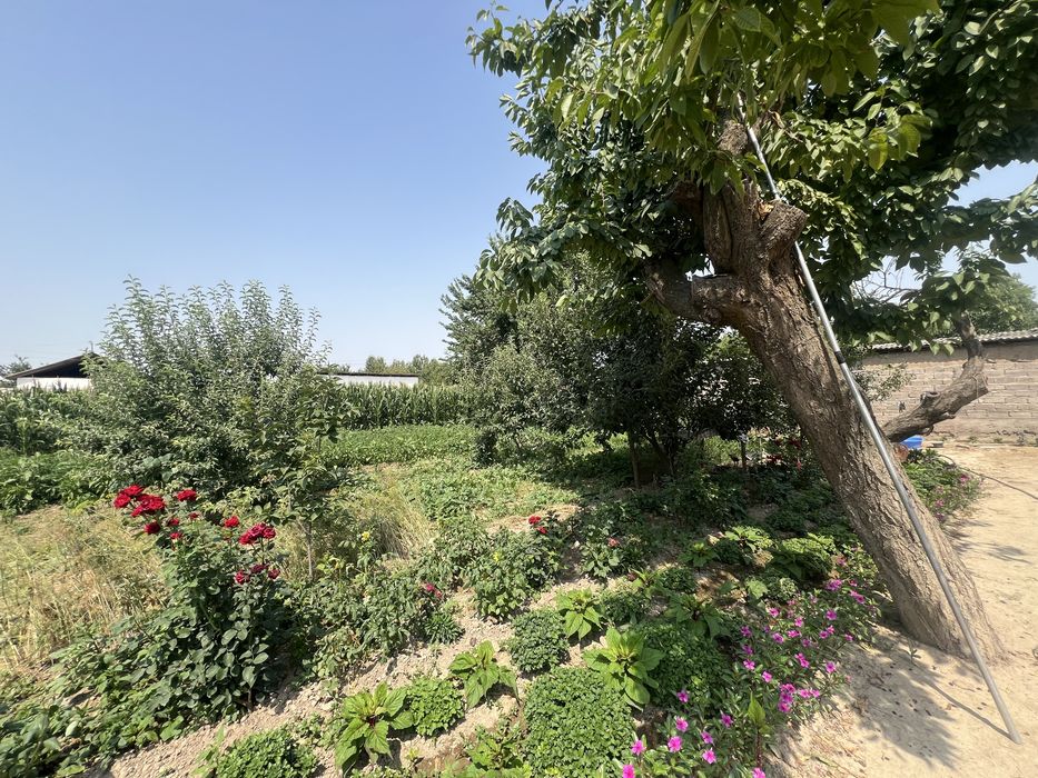 dala hovli uy sotiladi