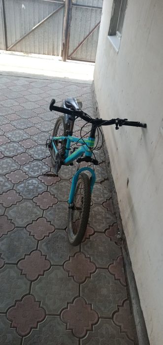 Велик сатамын көп айдалған жоқ