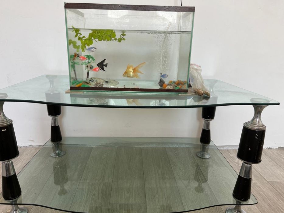 Продам с подставкой рыбы аквариум