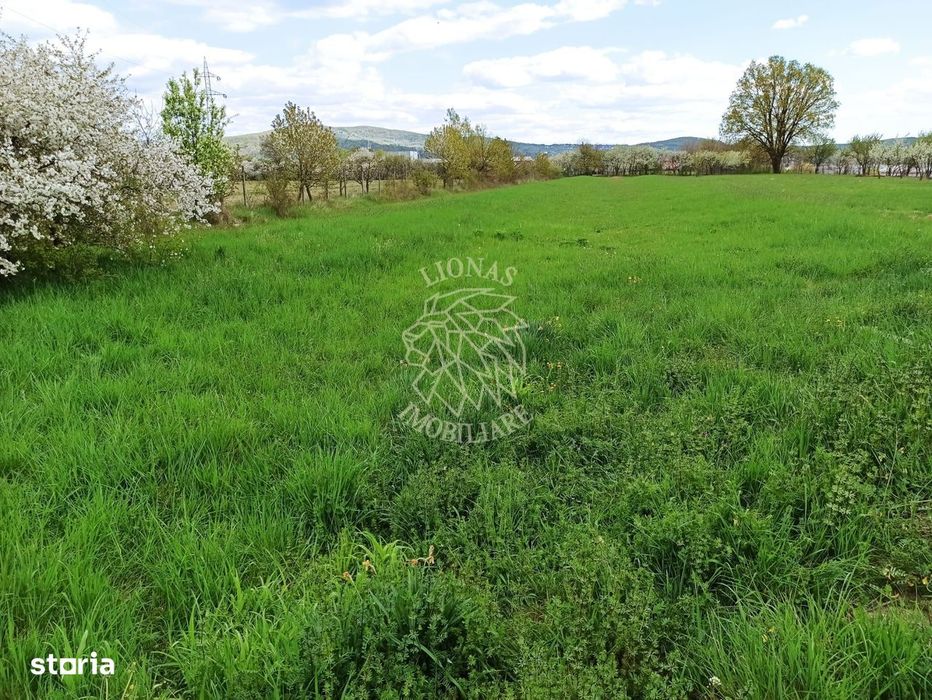 Teren intravilan 2515 mp cu utilitati- Zona Valea Castailor