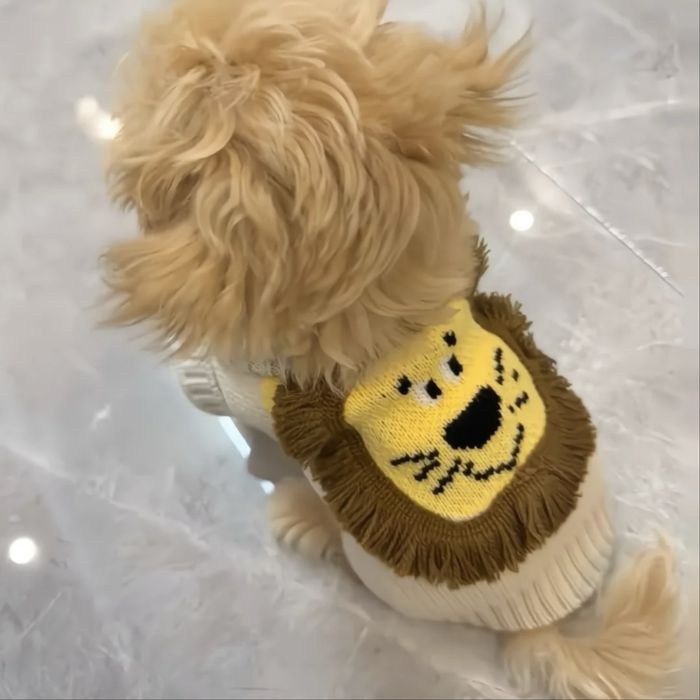 Одежда для животных