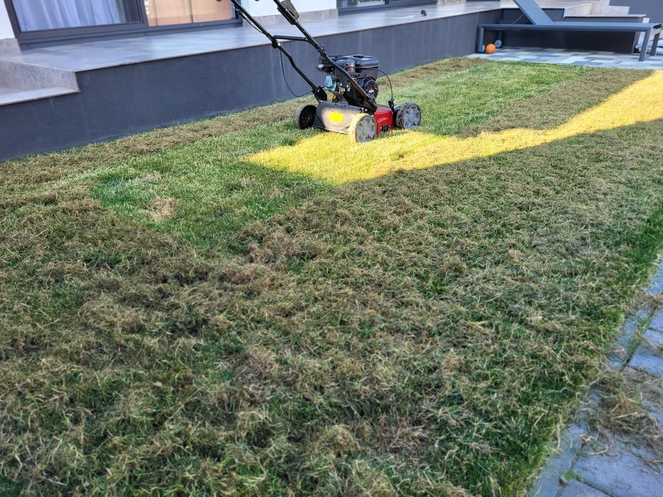 Întreținere gazon ( tuns , scarificare , îngrășământ )