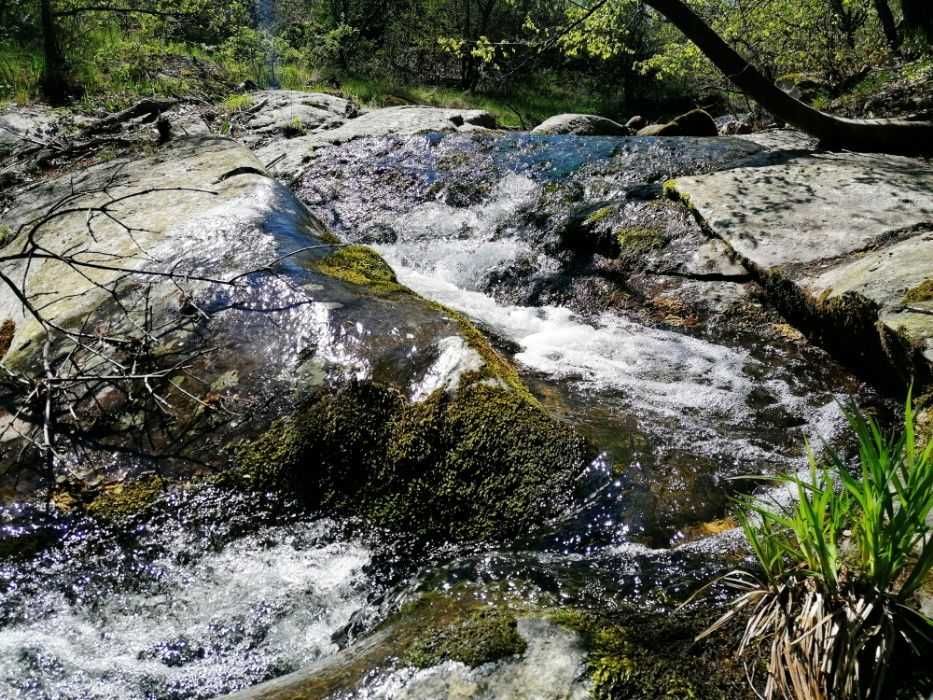 Продава се Земеделски имот в Тополовград -  кв.м за 744 €/дка - Снимка #3