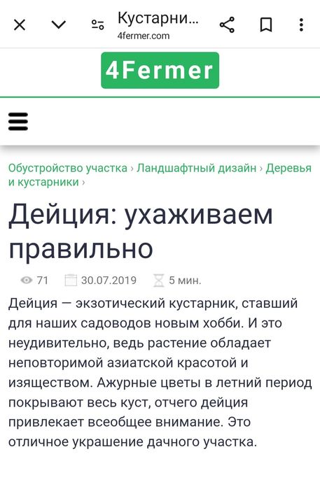 Кустарник "Дейция" декоративная