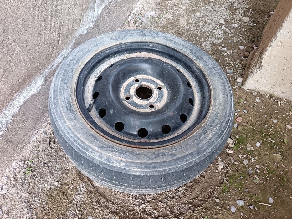 Блужник с тонной