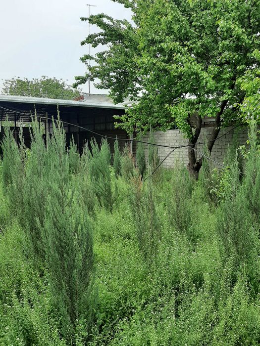 СРОЧНО Продаётся СВОЙ Дом/ Пригодна для круглогодичного проживания.