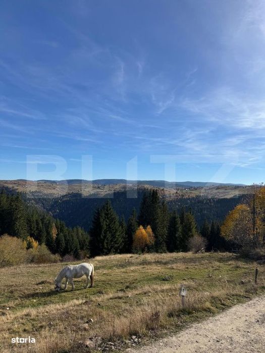 Teren intravilan, front la strada, 3321mp, utilitati, Marisel