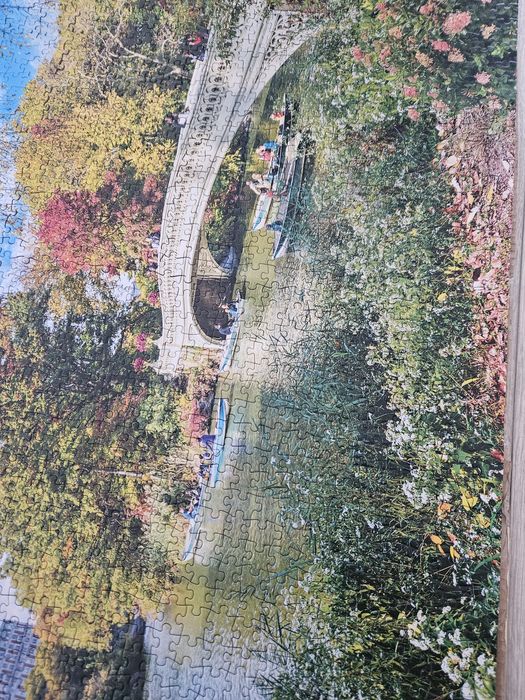 Tablou Puzzle Central Park New York 1500 piese asamblat