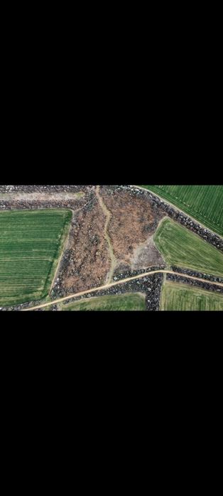 Земеделска земя 16.5 декара четвърта категория