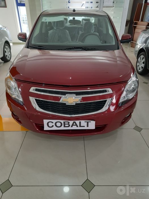 COBALT FUL 2023 rangi Parlament