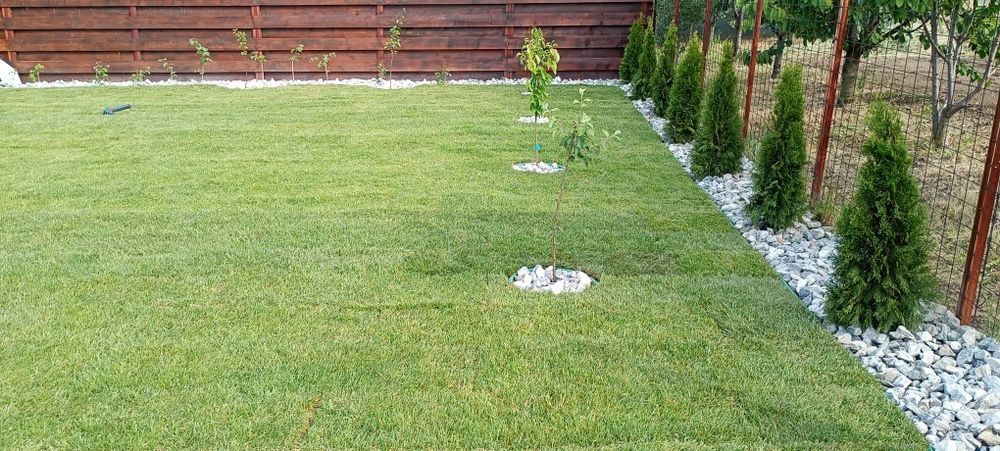 Gazon rulou, amenajare și întreținere spatii verzi!!!