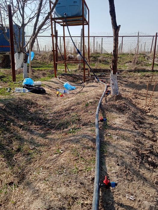 Tomchilab sugorish palifka xizmati