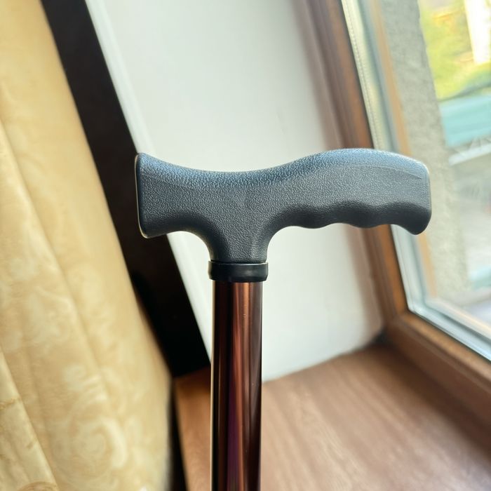 Трость новый