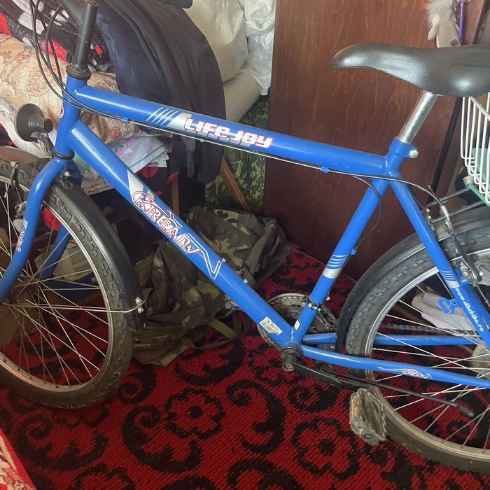 Bicicleta adulti