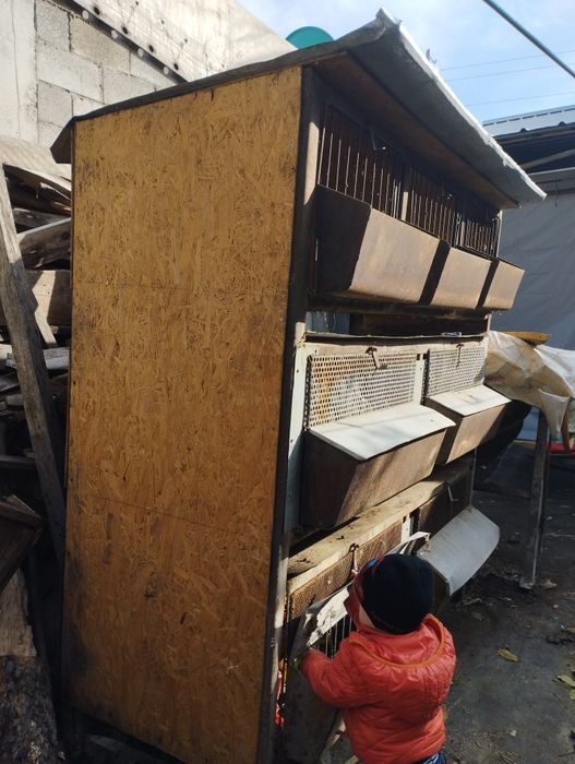 Продам кролятник