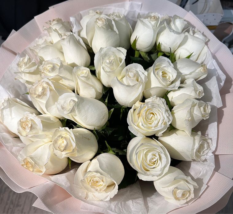 Голландская белая роза