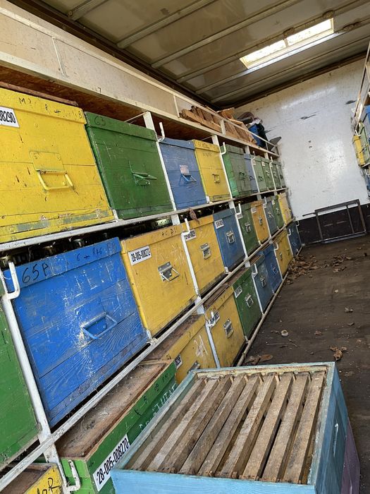 Vand pavilion cu 66 de stupi!!