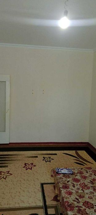 Аренда квартиры 1в2/1/4 ТТЗ-2  №54