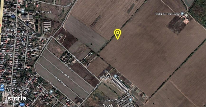 Teren intravilan 1 Decembrie, judetul Ilfov, ID: R2319723