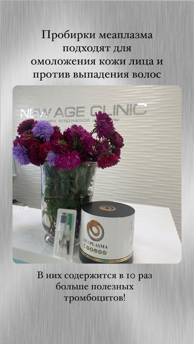 Обучение Меаплазма