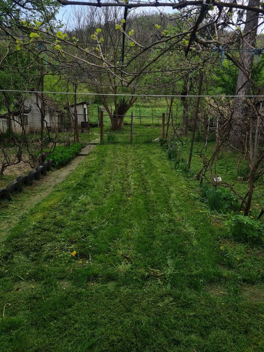 Casă stil Săsesc în Seleușul Mic, comuna Zagăr