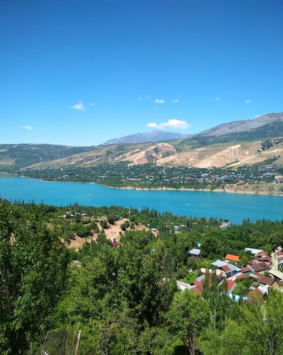 Srochna Yer sotiladi 8 sotix Bo'stonliqda