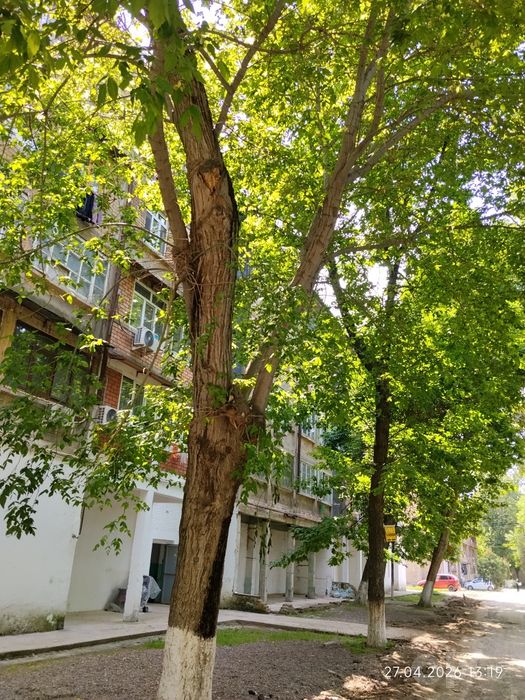 Продается или меняется квартира в кирпичном доме в Нурафшане.