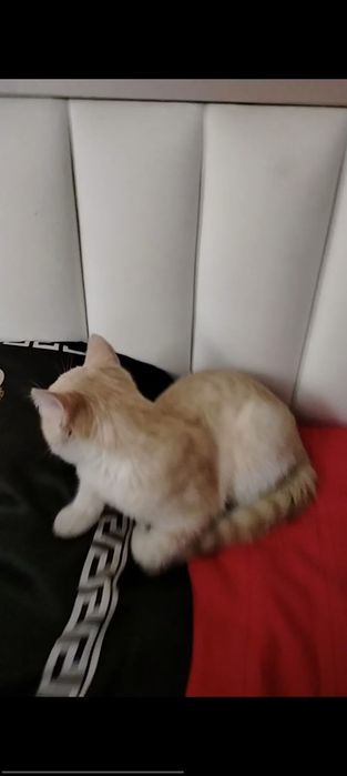 Только Только в хорошие ручки