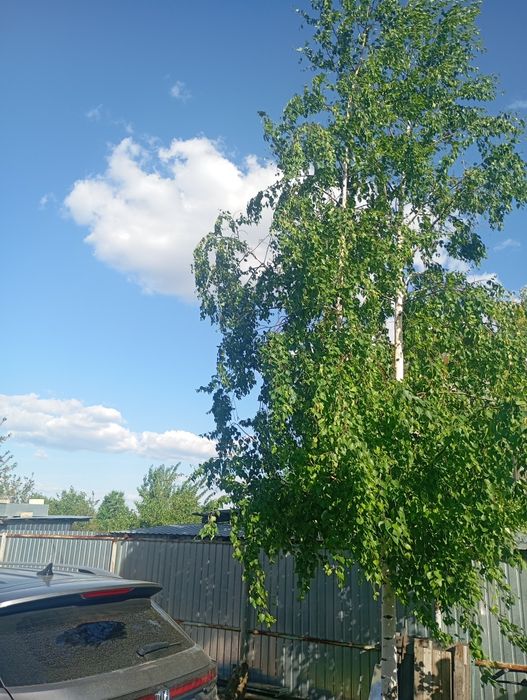 Продам дачу район саздинского водохранилища.