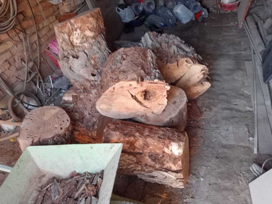 Кунда ва утинлар сотилади