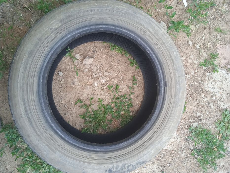 Продам шины летние