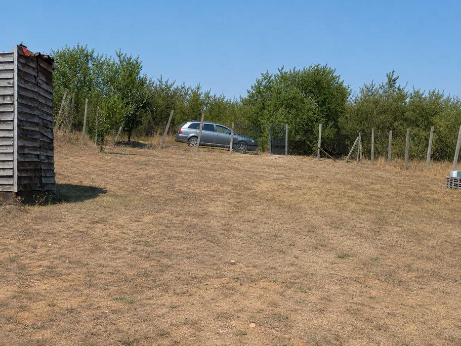 TEREN DE VÂNZARE – LIVADA DIN PALEU, în apropiere de Dealul Viilor