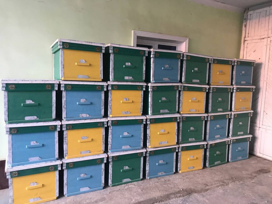 Asalari yashigi sotiladi