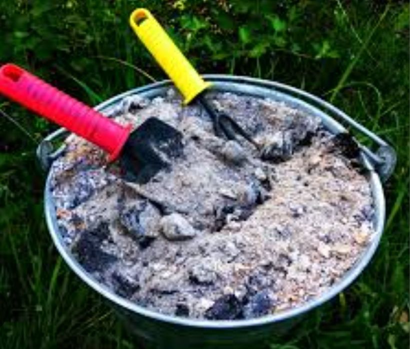 Vând Cenușă Bio din lemn  pentru gradina și găini 1 kg