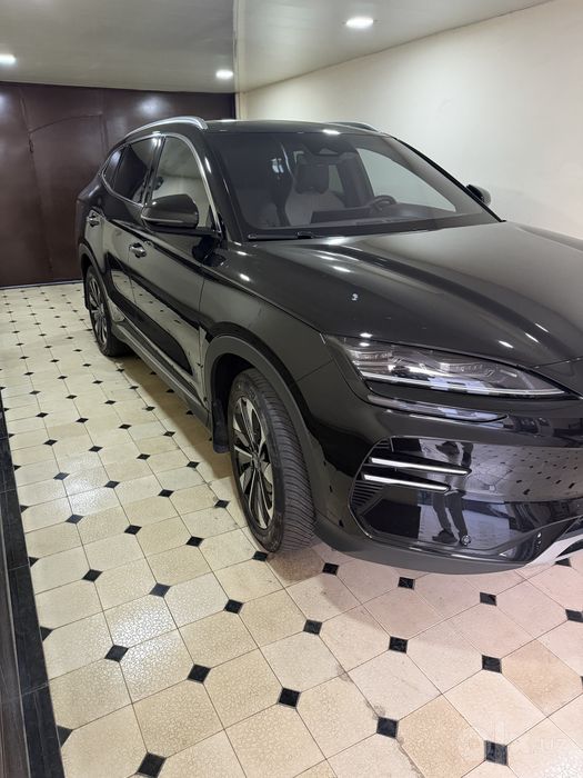 BYD chenpion restaling