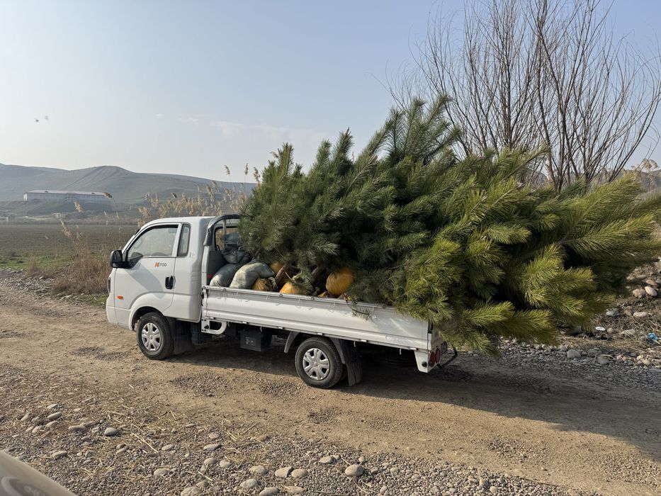 Kia bongo 2023 yil 62000 km tozza moshina tentlari bor