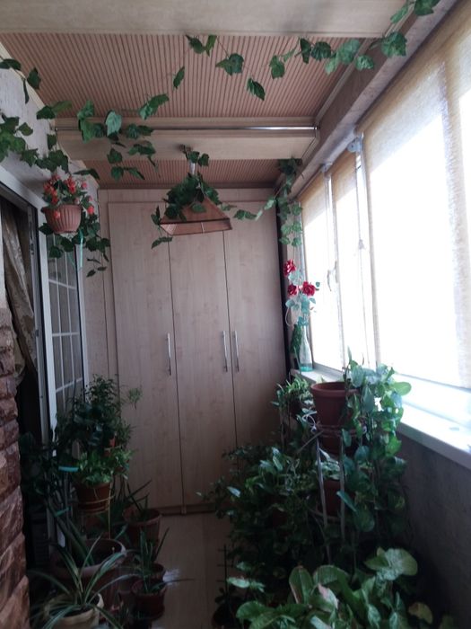 Люкс теплые  квартиры посуточно сдам