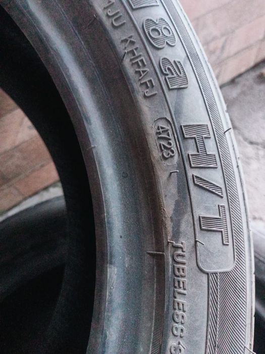 Продам ризину лето