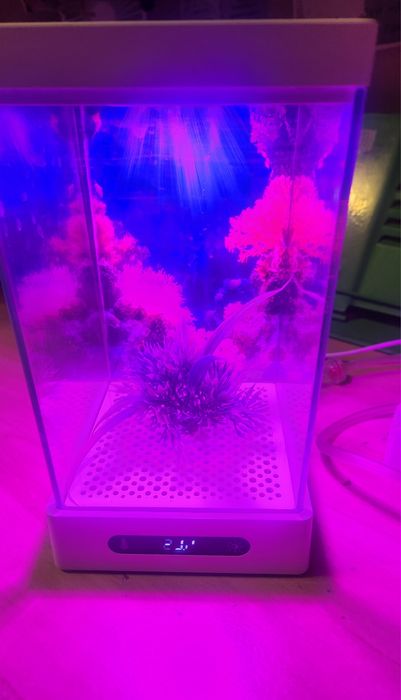 Мини аквариум Ксяоми