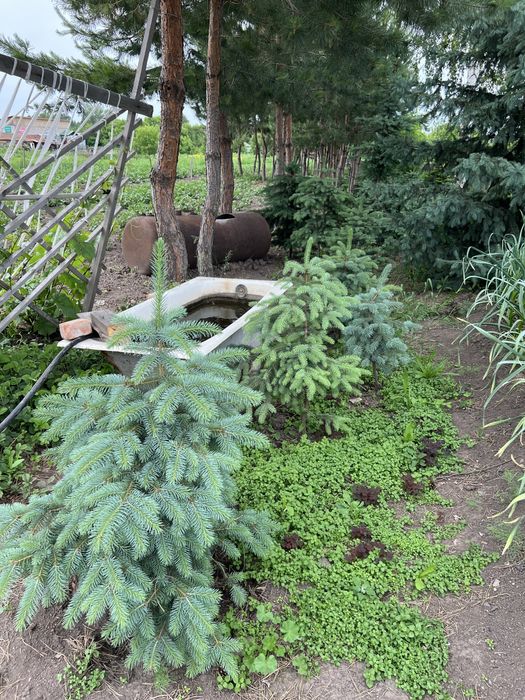 Продам дом в Бобровке