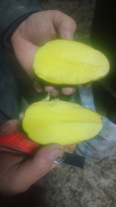 Картошка сатылады