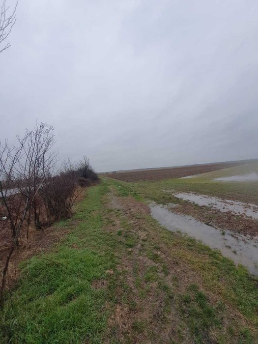 Vând teren extravilan 2,5 hectare